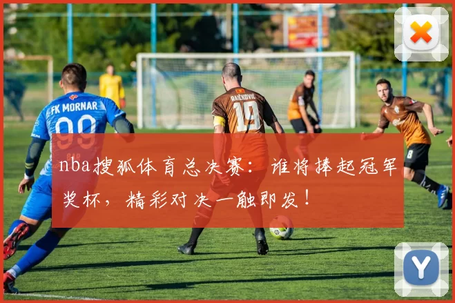 nba搜狐体育总决赛：谁将捧起冠军奖杯，精彩对决一触即发！