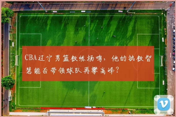 CBA辽宁男篮教练杨鸣，他的执教智慧能否带领球队再攀高峰？