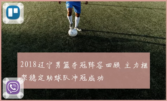 2018辽宁男篮夺冠阵容回顾 主力框架稳定助球队冲冠成功