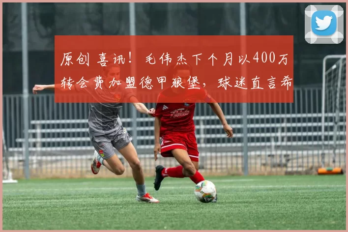 原创 喜讯！毛伟杰下个月以400万转会费加盟德甲狼堡，球迷直言希望这是真的