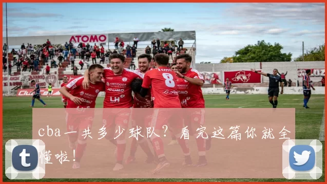 cba一共多少球队？看完这篇你就全懂啦！