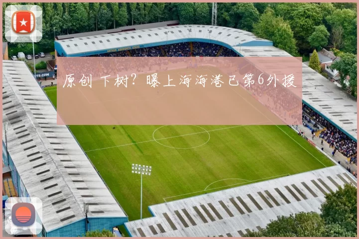 原创 下树？曝上海海港已第6外援