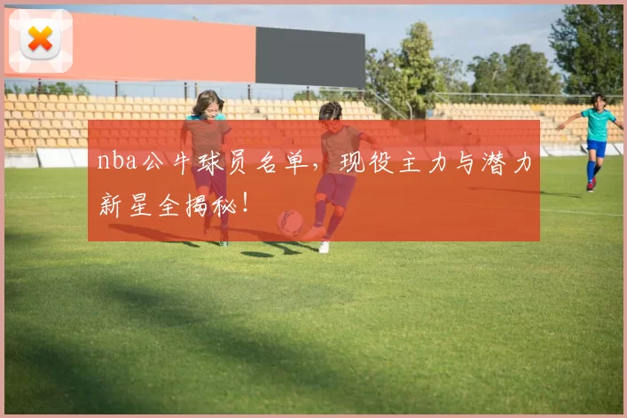 nba公牛球员名单，现役主力与潜力新星全揭秘！