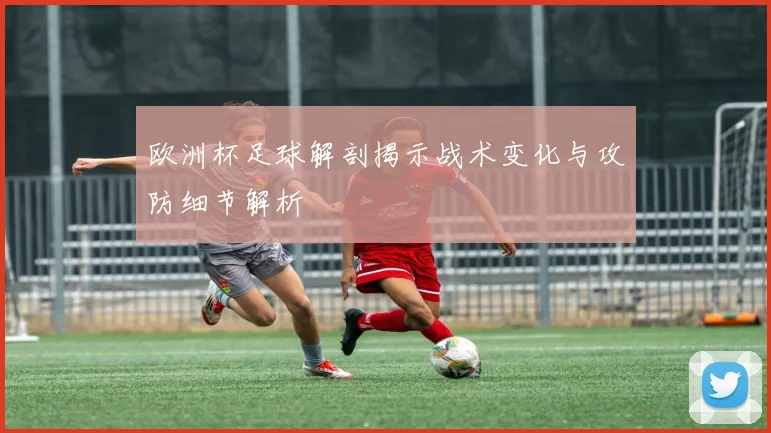 欧洲杯足球解剖揭示战术变化与攻防细节解析