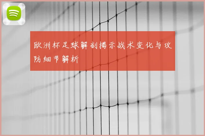 欧洲杯足球解剖揭示战术变化与攻防细节解析