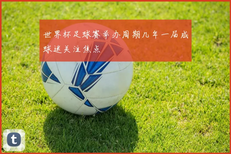 世界杯足球赛举办周期几年一届成球迷关注焦点
