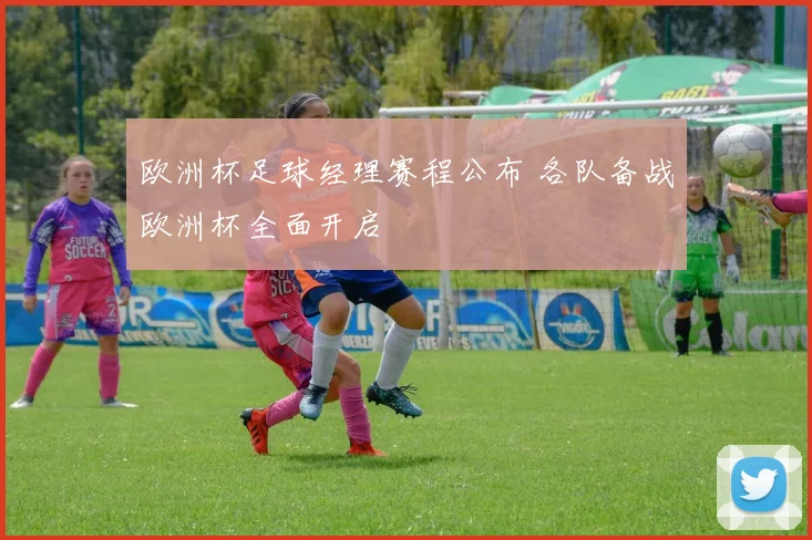欧洲杯足球经理赛程公布 各队备战欧洲杯全面开启